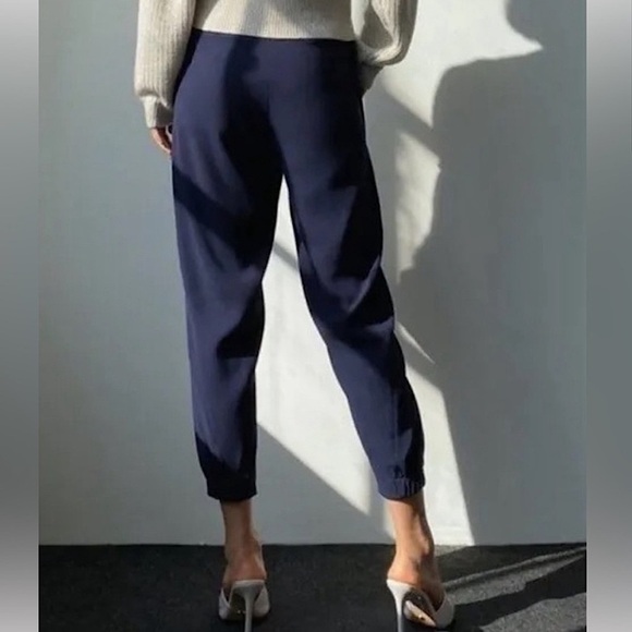 BABATON Aritzia Dexter Tuxedo Jogger Pant Navy Blue Large - Picture 3 of 13